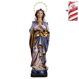Vierge Immacolata priant avec Auréole 12 étoiles en laiton + Coffret cadeau