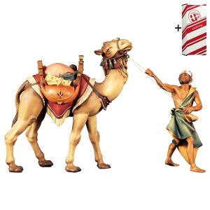 SH Standing camel group 3 Pieces + Gift box