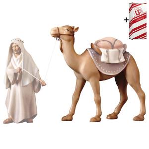 CO Standing camel + Gift box