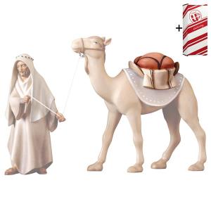 CO Saddle for standing camel + Gift box